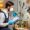 A professional mold inspector wearing safety gear, including a mask and gloves, carefully examining a residential